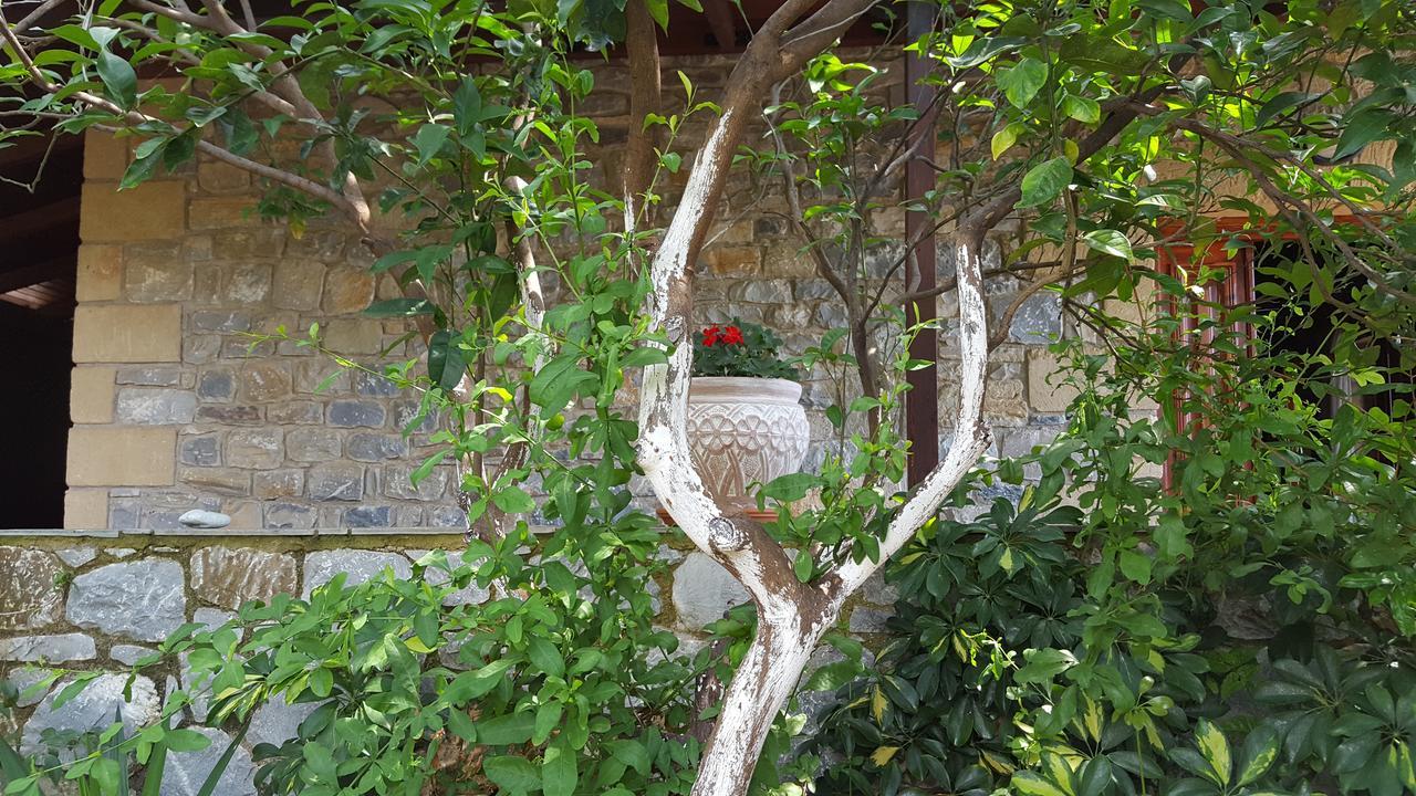 Villa Onar A Stone House With Amazing View Stoúpa Buitenkant foto